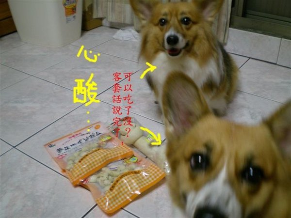 DSCN0924.JPG