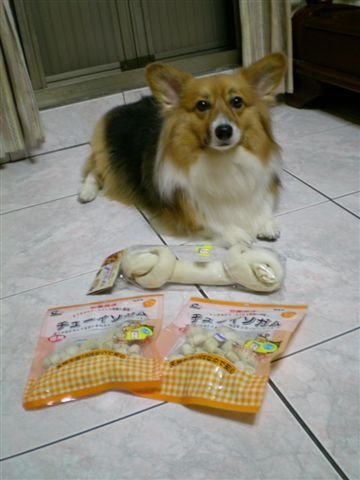 DSCN0928.jpg