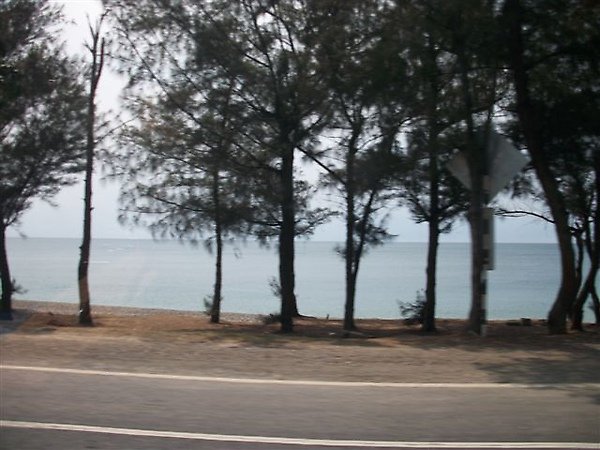 ALIM0122.JPG