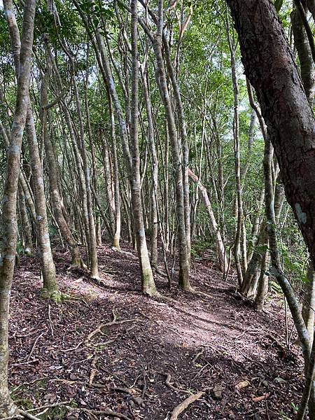 小百岳No.090月眉山～Apple姊的第58座小百岳