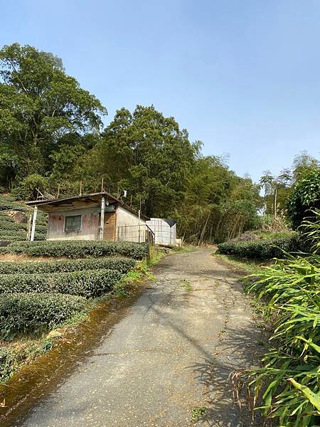 小百岳No.057梨子腳山～Apple姊的第59座小百岳