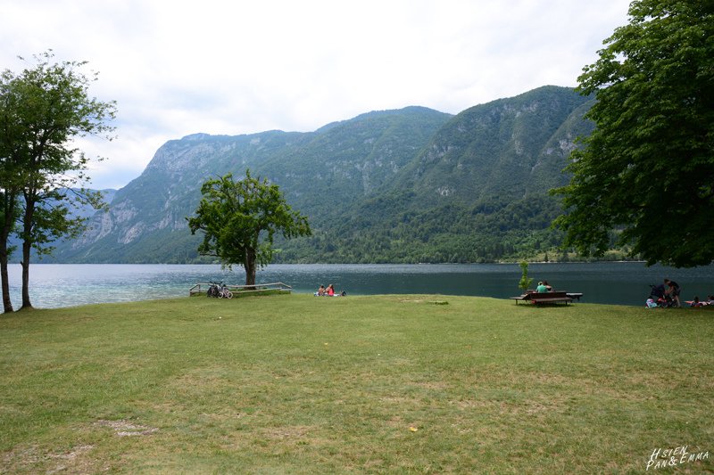 DSC_0471.JPG