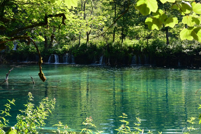 DSC_1112.JPG