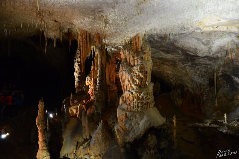 DSC_1213.JPG