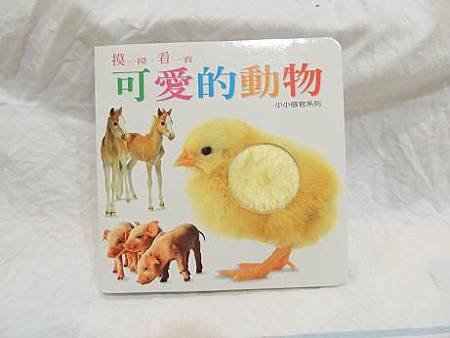 可愛動物.JPG