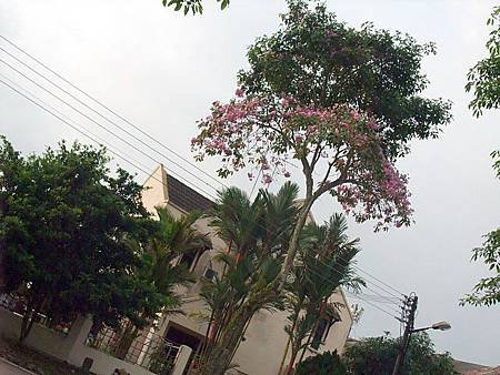 DSCF7221a.jpg