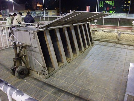 DSCF0616.jpg
