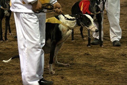 IMG_6143a.jpg