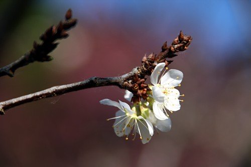 IMG_9828a.jpg