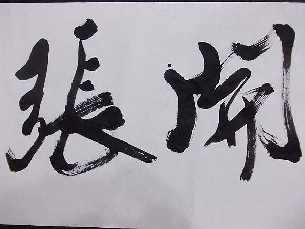 DSCN9521