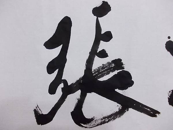 DSCN9523