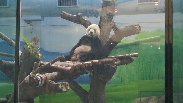 IMG_3948.JPG