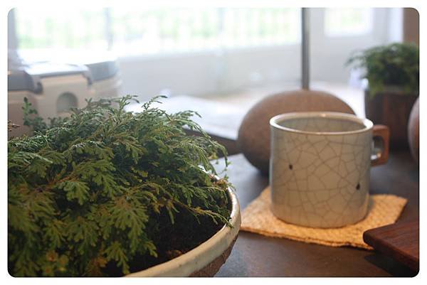 10006-阿里荖-12.JPG
