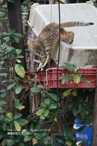 IMG_8444.JPG