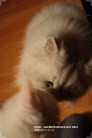 IMG_0395.JPG