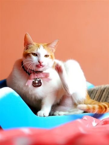 nEO_IMG_DSC_3439.jpg