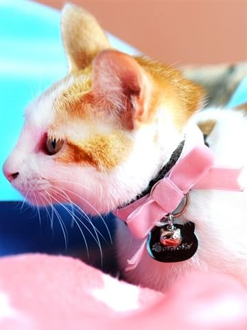 nEO_IMG_DSC_3429.jpg