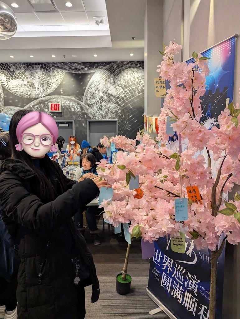 挑戰三度空間距離極限追星（中：美國篇）