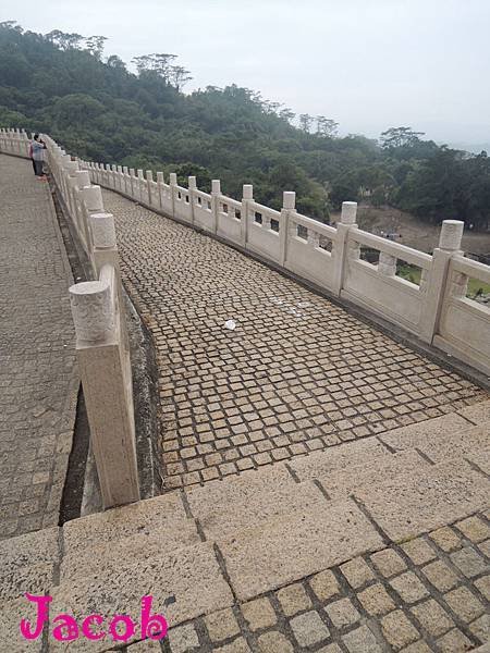 DSCN9788.JPG