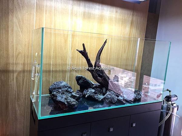 120h 萬天石＆紅角木-3
