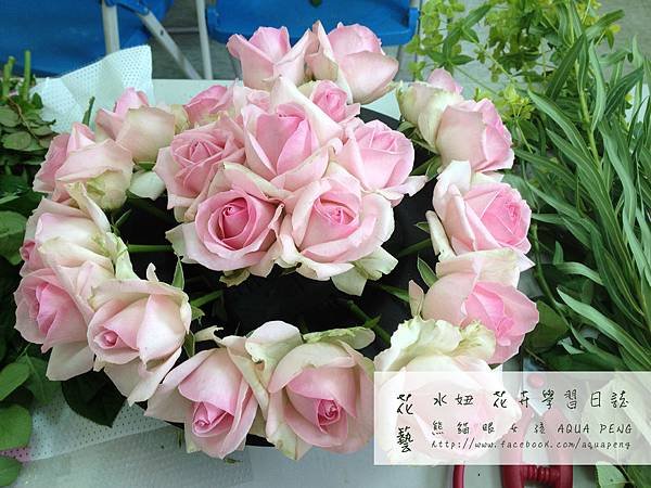 照片 (27)