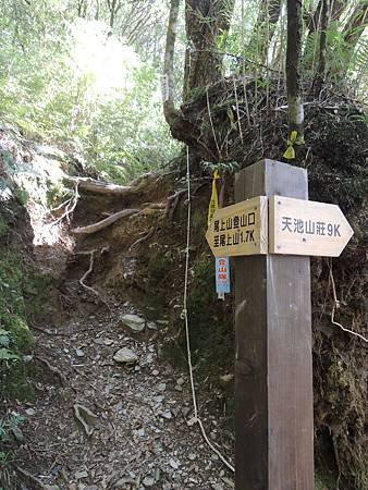 途中有岔路可去尾上山