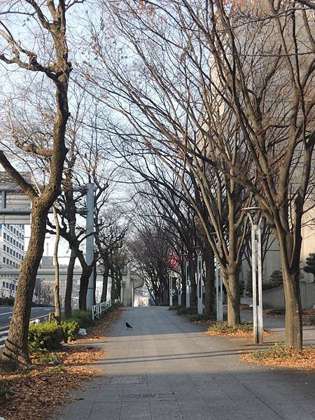 飯店隔街有公園，可以散步