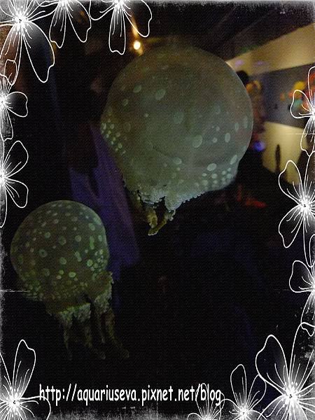 DSCF4346