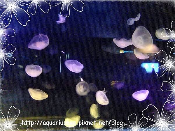 DSCF4382