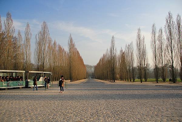 IMG_8558.JPG