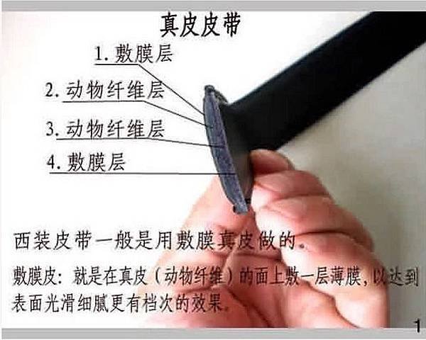 照片01