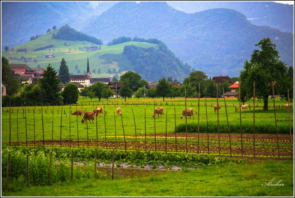 20130619063.jpg
