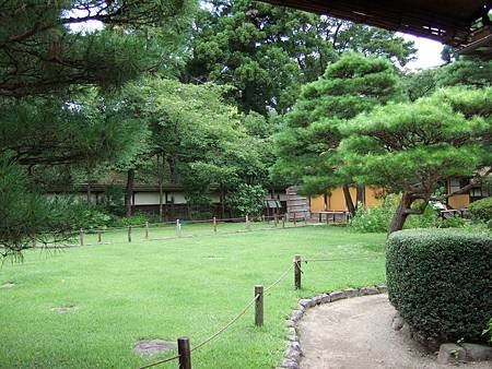 DSCF8001.JPG