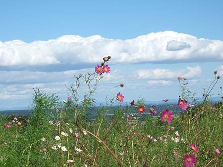 DSCF8177.JPG