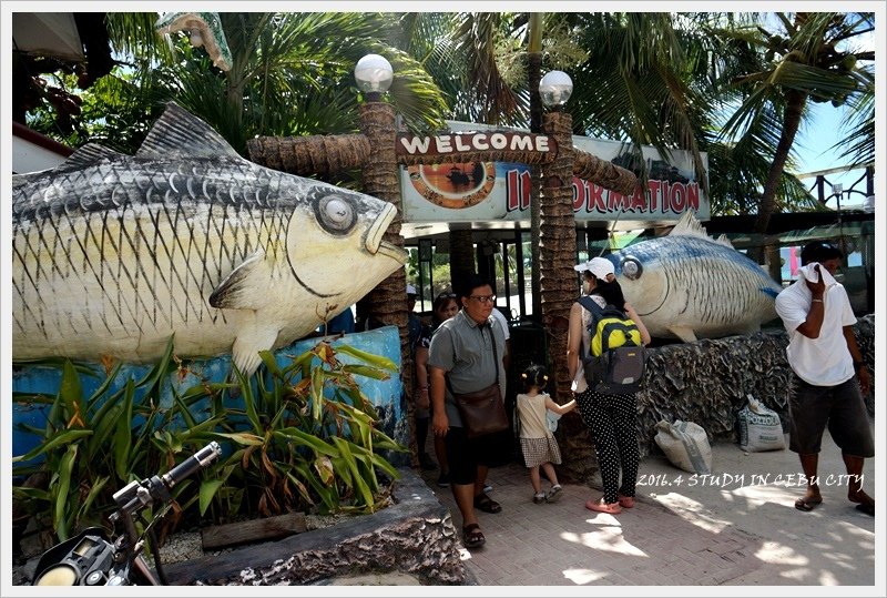 DSC06705.JPG - CAMOTES Mangodlong Rock Resort 