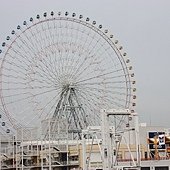 IMG_2341.JPG