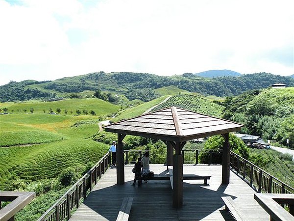 DSCN7209.JPG