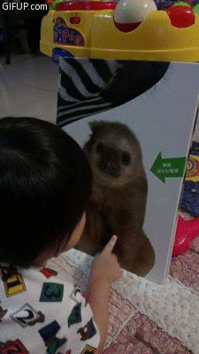 一起看書