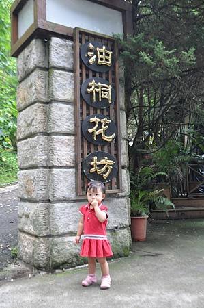 油桐花坊