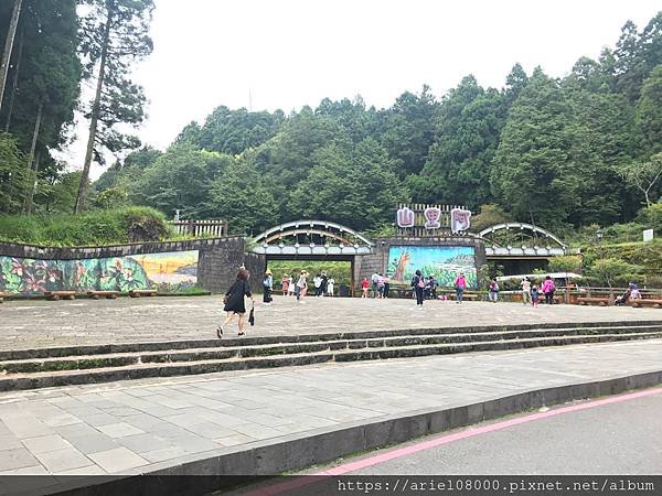 「嘉義住宿」阿里山賓館-阿里山/ 園區內住宿/合格阿里山飯店