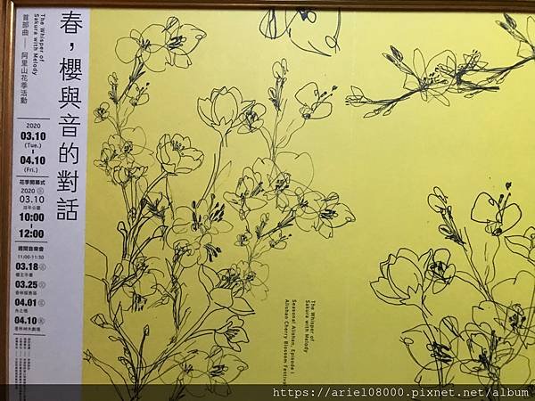 「嘉義景點」茶田35號-阿里山-嘉義-阿里山小火車/小笠原日