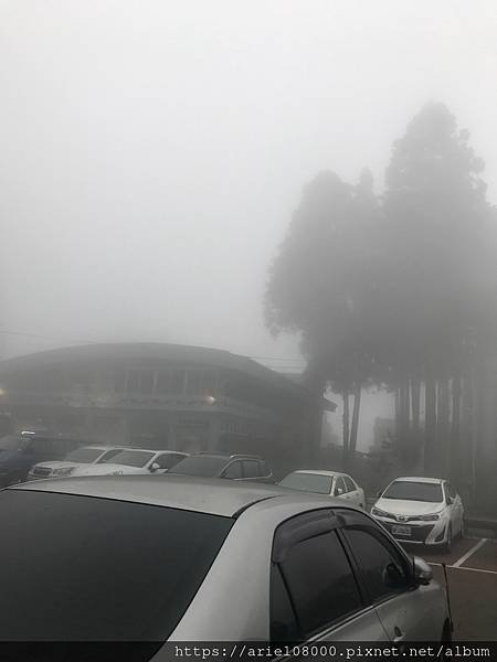 「嘉義住宿」阿里山賓館-阿里山/ 園區內住宿/合格阿里山飯店