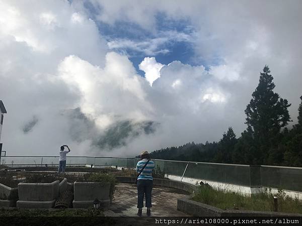 「嘉義住宿」阿里山賓館-阿里山/ 園區內住宿/合格阿里山飯店