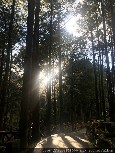 「嘉義住宿」阿里山賓館-阿里山/ 園區內住宿/合格阿里山飯店