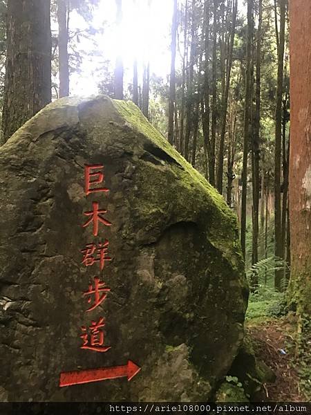 「嘉義住宿」阿里山賓館-阿里山/ 園區內住宿/合格阿里山飯店