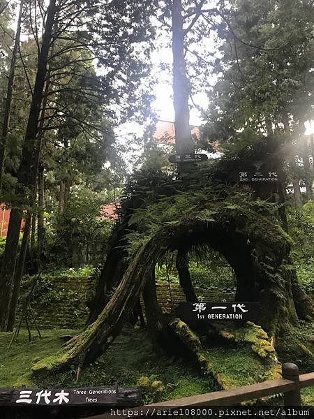 「嘉義住宿」阿里山賓館-阿里山/ 園區內住宿/合格阿里山飯店