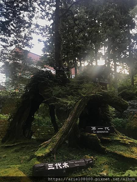 「嘉義住宿」阿里山賓館-阿里山/ 園區內住宿/合格阿里山飯店