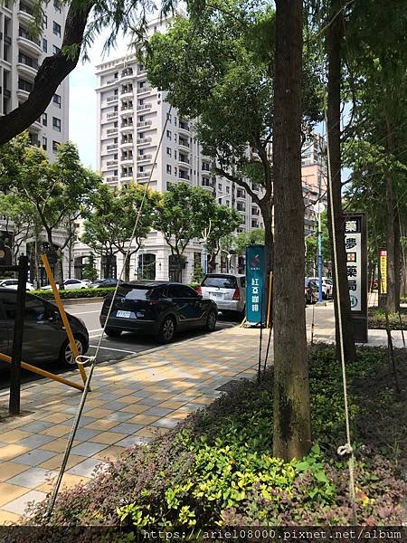 [桃園美食]廚種王異國料理-龍慈店-中壢區-桃園市／🍴🌟廚種