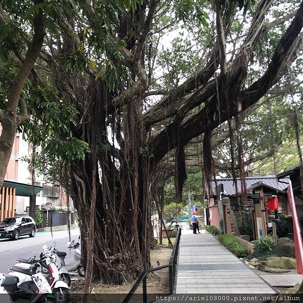 [台北美食]打卡咖啡—好丘-大安區-台北市榕錦文化園區/永康