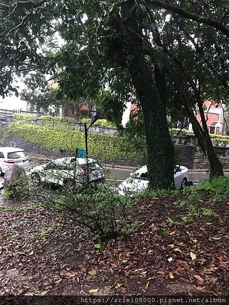 「台北景點」台北住宿-陽明溫泉渡假村(菁山遊憩區)(小木屋)